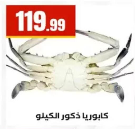 available at مارت فيل in Egypt - القاهرة