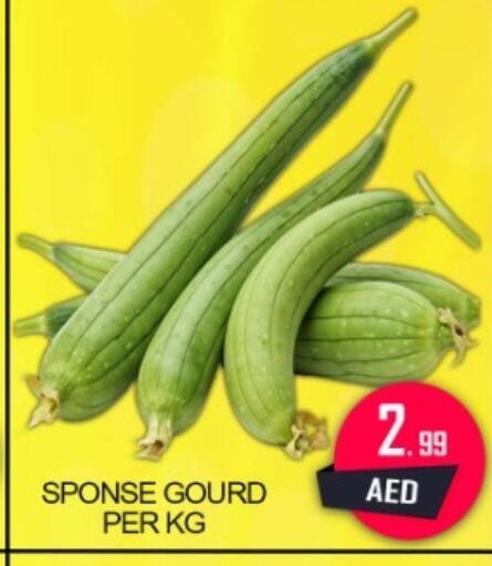 available at جرين جيفت متجر أقسام in الإمارات العربية المتحدة , الامارات - دبي