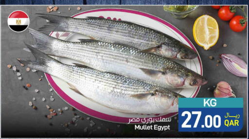 available at SPAR in Qatar - Doha