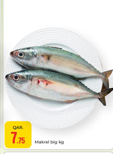 available at باريس هايبرماركت in قطر - الوكرة