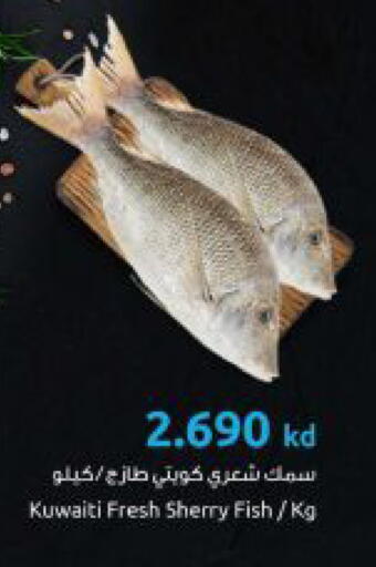 available at The Sultan Center in Kuwait - Ahmadi Governorate