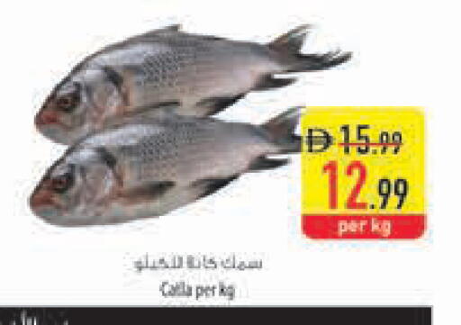 available at السفير ماركت in الإمارات العربية المتحدة , الامارات - ٱلْفُجَيْرَة‎