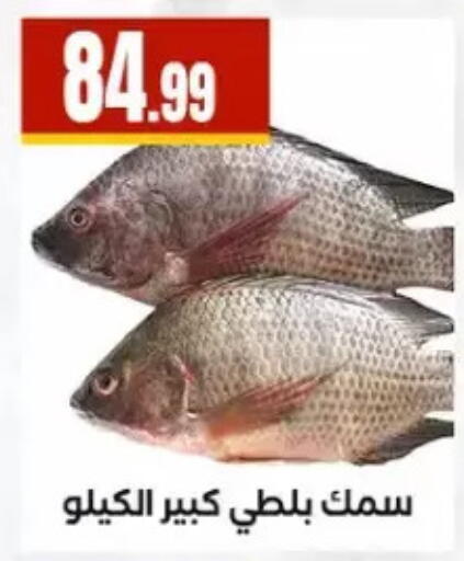 available at مارت فيل in Egypt - القاهرة