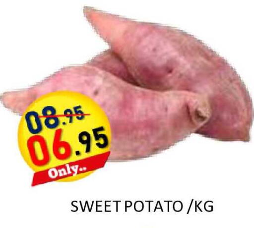 Sweet Potato available at ROYAL GULF HYPERMARKET LLC in UAE - Abu Dhabi