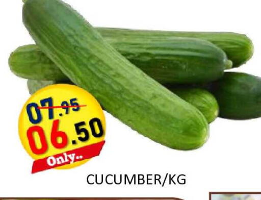 Cucumber available at ROYAL GULF HYPERMARKET LLC in UAE - Abu Dhabi