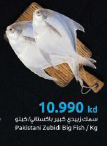 available at The Sultan Center in Kuwait - Ahmadi Governorate