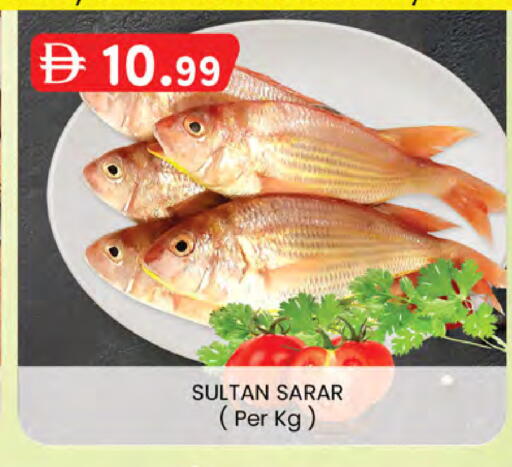 available at صفا اكسبريس سوبرماركت in الإمارات العربية المتحدة , الامارات - أبو ظبي