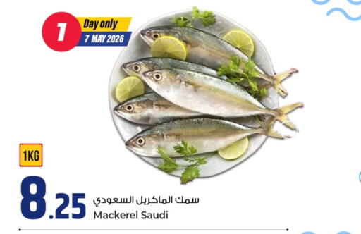 available at روابي هايبرماركت in قطر - الضعاين