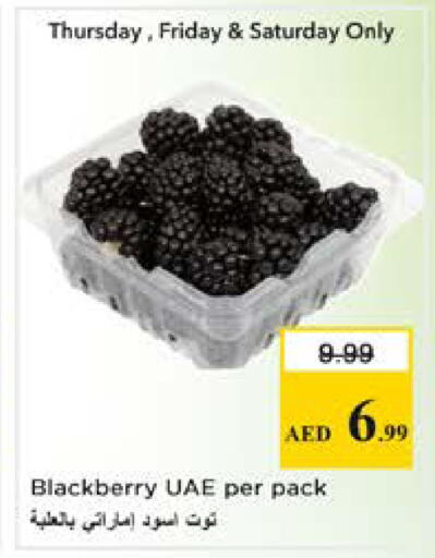 Blackberry available at Nesto Hypermarket in UAE - Sharjah / Ajman