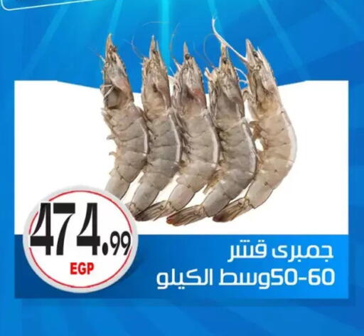 available at أولاد المحاوى in Egypt - القاهرة