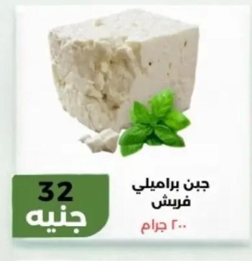 available at Khan Elhussein in Egypt - Cairo