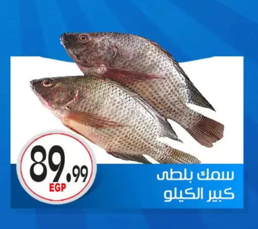 available at أولاد المحاوى in Egypt - القاهرة