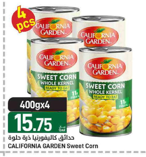 available at ســبــار in قطر - الريان
