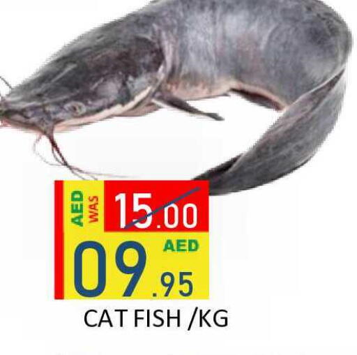 available at ROYAL GULF HYPERMARKET LLC in UAE - Abu Dhabi