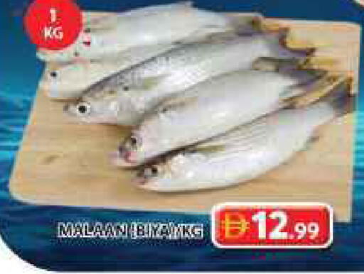 available at Grand Hyper Market in UAE - Sharjah / Ajman
