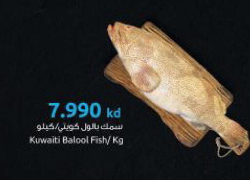 available at The Sultan Center in Kuwait - Ahmadi Governorate