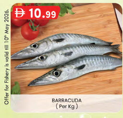 available at K M Trading  in UAE - Abu Dhabi