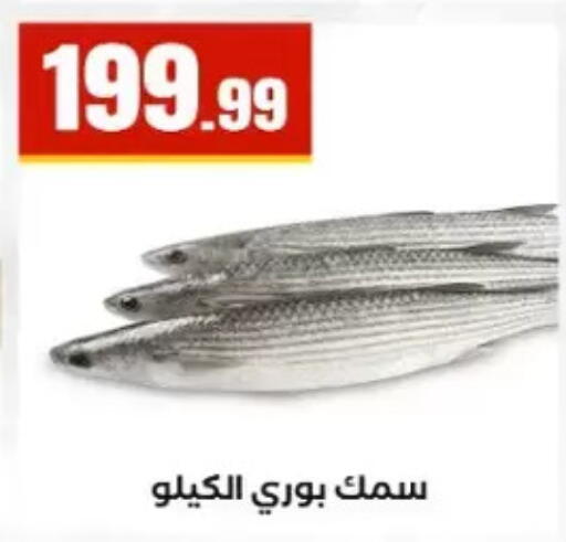 available at مارت فيل in Egypt - القاهرة