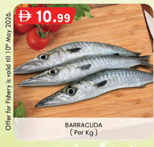 available at ك. إم. هايبرماركت in الإمارات العربية المتحدة , الامارات - أبو ظبي