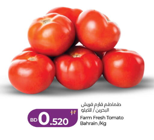 Tomato from Bahrain available at LuLu Hypermarket in Bahrain