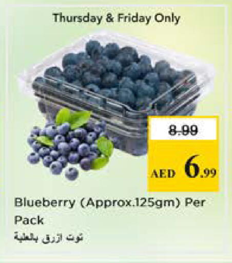 Blueberry BlueBerry available at Nesto Hypermarket in UAE - Sharjah / Ajman