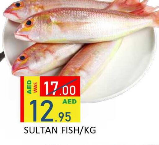 available at ROYAL GULF HYPERMARKET LLC in UAE - Abu Dhabi