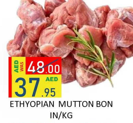 available at ROYAL GULF HYPERMARKET LLC in UAE - Abu Dhabi
