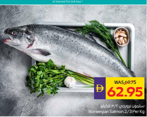 available at ADCOOP in UAE - Abu Dhabi