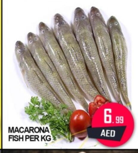 available at جرين جيفت متجر أقسام in الإمارات العربية المتحدة , الامارات - دبي
