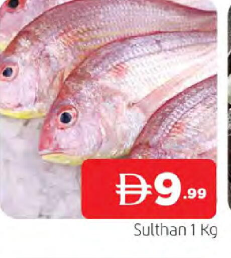 available at المدينة in الإمارات العربية المتحدة , الامارات - الشارقة / عجمان