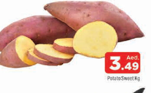 Potato available at AL MADINA in UAE - Sharjah / Ajman