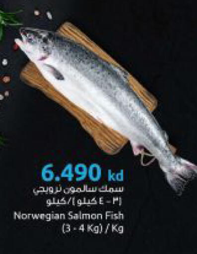 available at The Sultan Center in Kuwait - Ahmadi Governorate