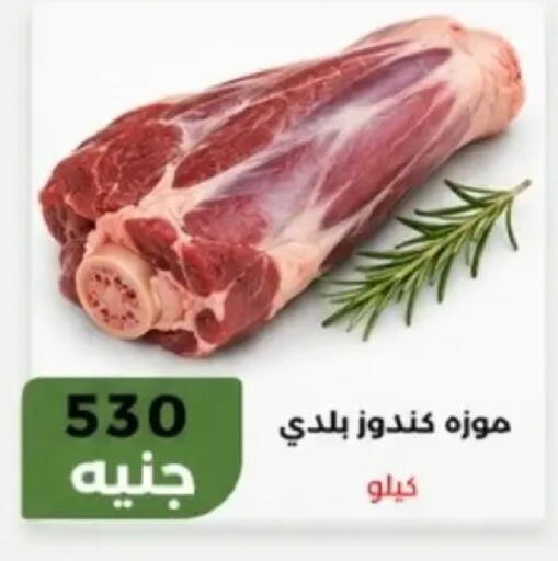 available at Khan Elhussein in Egypt - Cairo