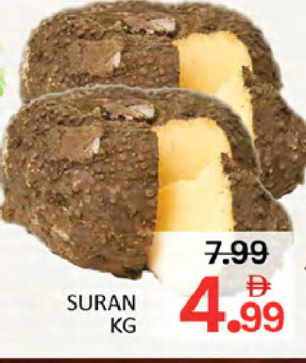 available at المدينة in الإمارات العربية المتحدة , الامارات - دبي