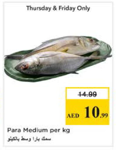 available at نستو هايبرماركت in الإمارات العربية المتحدة , الامارات - دبي