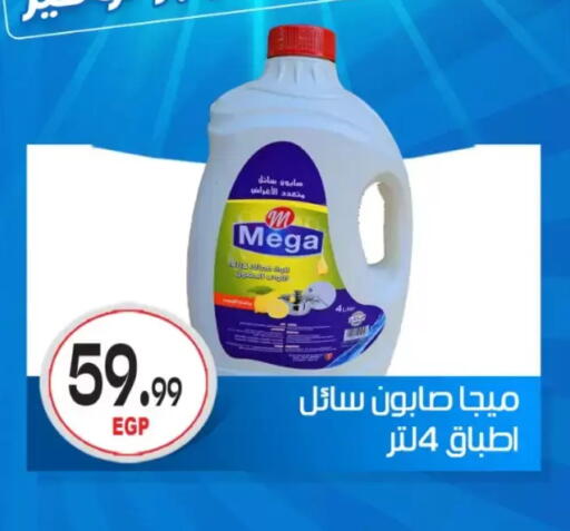 available at El mhallawy Sons in Egypt - Cairo