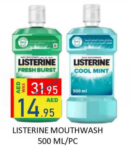 Mint available at ROYAL GULF HYPERMARKET LLC in UAE - Abu Dhabi