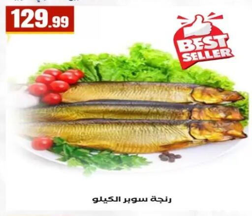 available at المحلاوي ستورز in Egypt - القاهرة