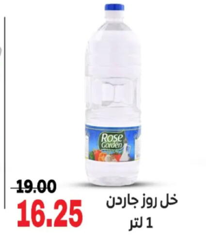 available at جلهوم ماركت in Egypt - القاهرة
