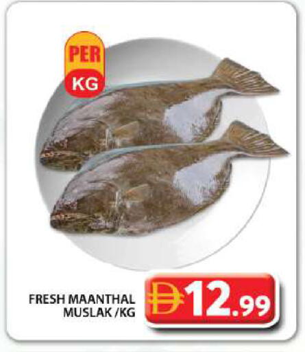 available at جراند هايبر ماركت in الإمارات العربية المتحدة , الامارات - دبي