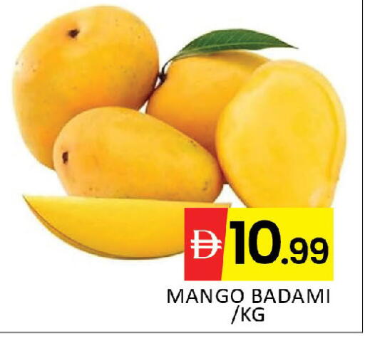 Mango available at المدينة in الإمارات العربية المتحدة , الامارات - دبي