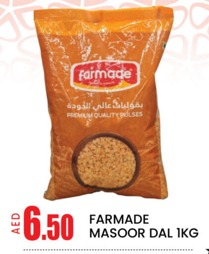 Mango available at مانجو هايبرماركت in الإمارات العربية المتحدة , الامارات - دبي