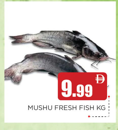 available at عين المدينة هايبرماركت in الإمارات العربية المتحدة , الامارات - الشارقة / عجمان