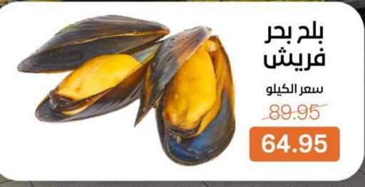 available at بيت الجملة in Egypt - القاهرة