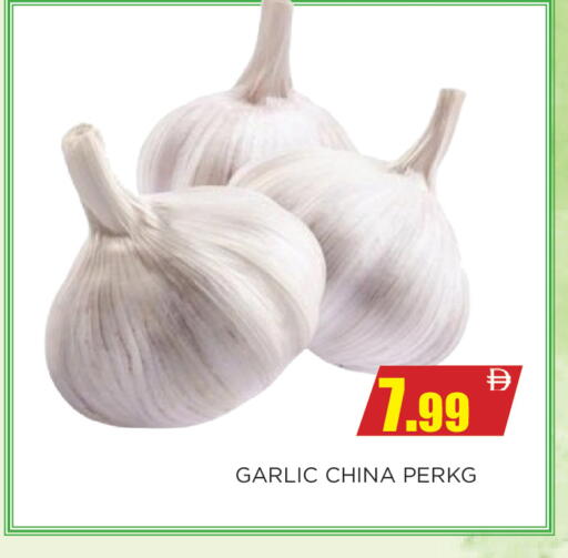 Garlic from China available at اينس المدينة هايبرماركت in الإمارات العربية المتحدة , الامارات - الشارقة / عجمان