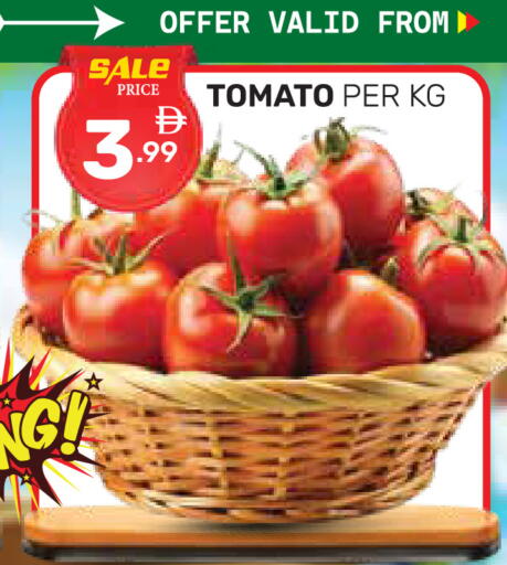 Tomato available at دريم نايت هايبرماركت in الإمارات العربية المتحدة , الامارات - دبي