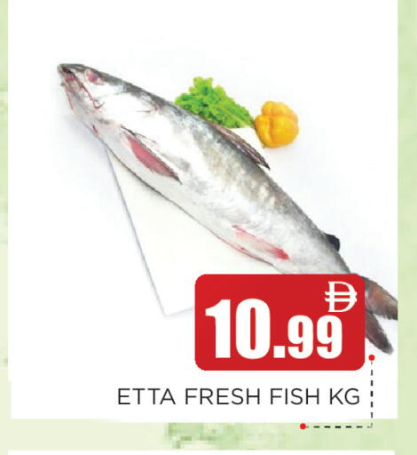 available at عين المدينة هايبرماركت in الإمارات العربية المتحدة , الامارات - الشارقة / عجمان