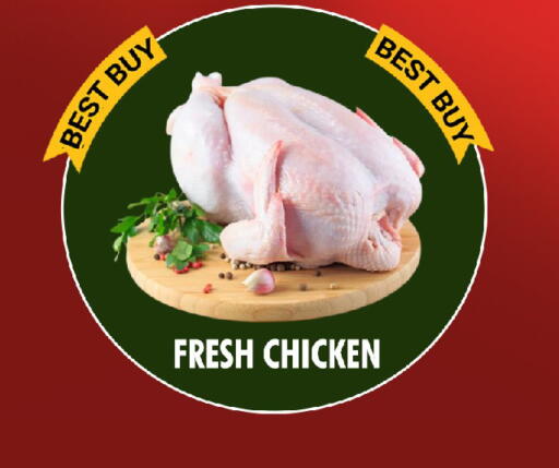 available at نايت تو نايت in الإمارات العربية المتحدة , الامارات - الشارقة / عجمان