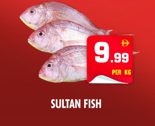 available at نايت تو نايت in الإمارات العربية المتحدة , الامارات - الشارقة / عجمان