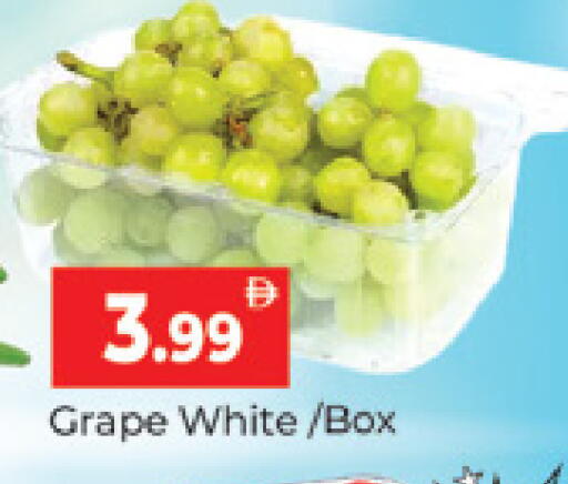 available at المدينة in الإمارات العربية المتحدة , الامارات - دبي